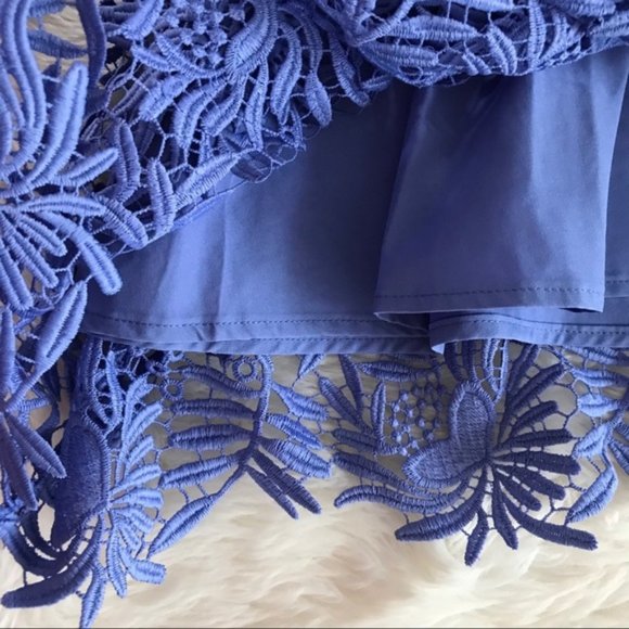 ANTONIO MELANI Blue Lace Midi Dress - Picture 10 of 15